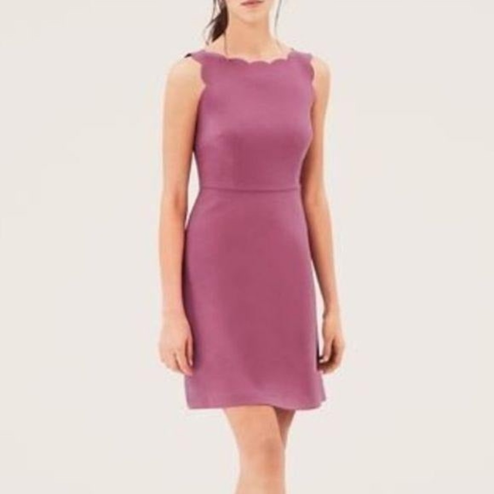 Loft Muted Magenta Dress, Scalloped Edge, 8 NWOT